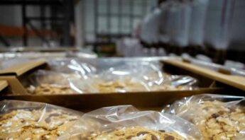 Magazzino a temperatura controllata
